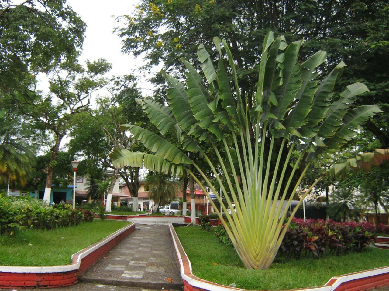 Hotel Casa Trujillo Norcasia Eksteriør billede